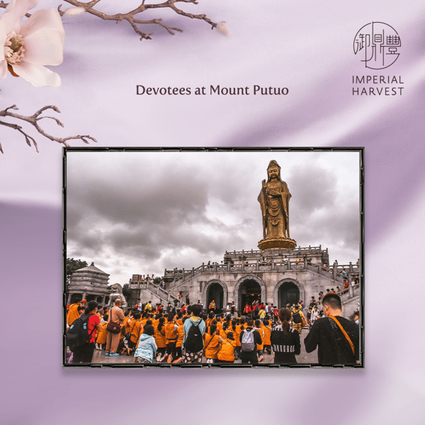Blog_03.11_Guan Yin First Birthday_Devotees at Mount Putuo