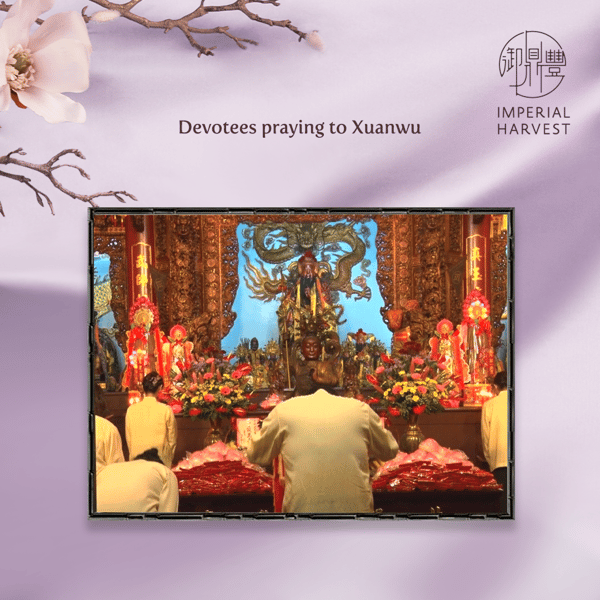 Devotees praying to Xuanwu