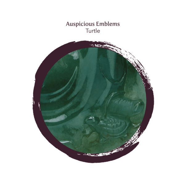 Supreme Wealth God Turtle close up