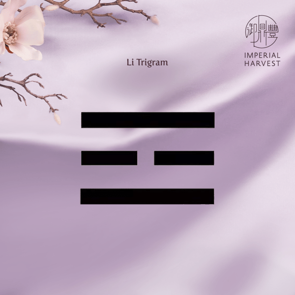 Period 9 Feng Shui Li Trigram