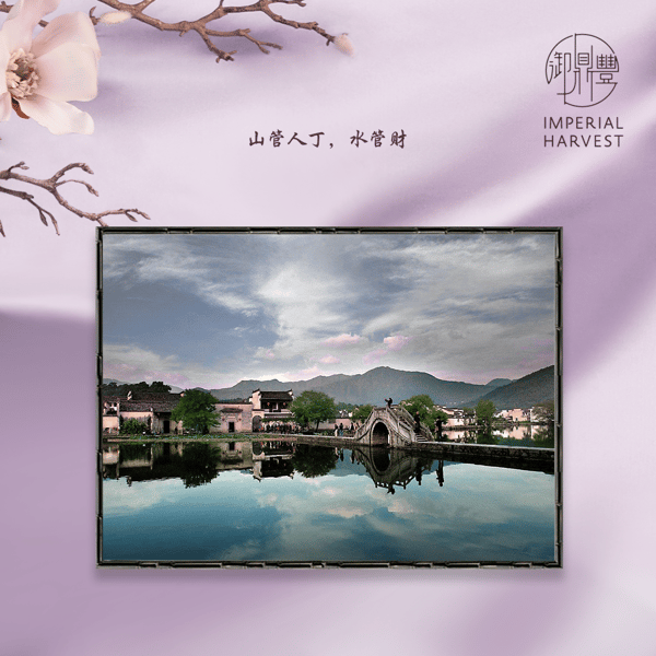 Mountains govern benefactors, authority and harmony, while water governs wealth, opportunities and intuition 山管人丁水管财