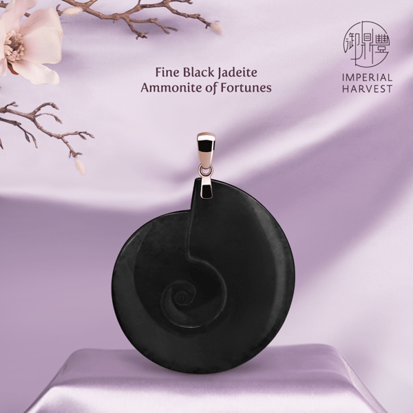 Fien Jadeite Ammonite of Fortunes Black