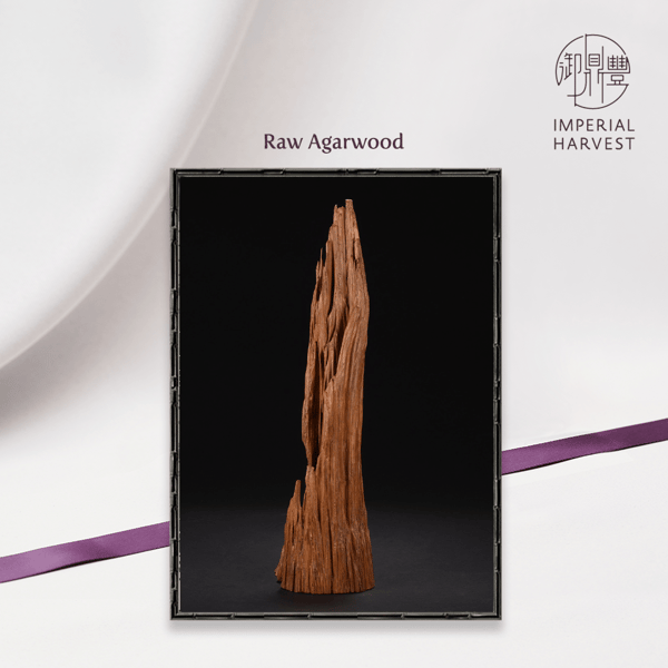 Raw Agarwood