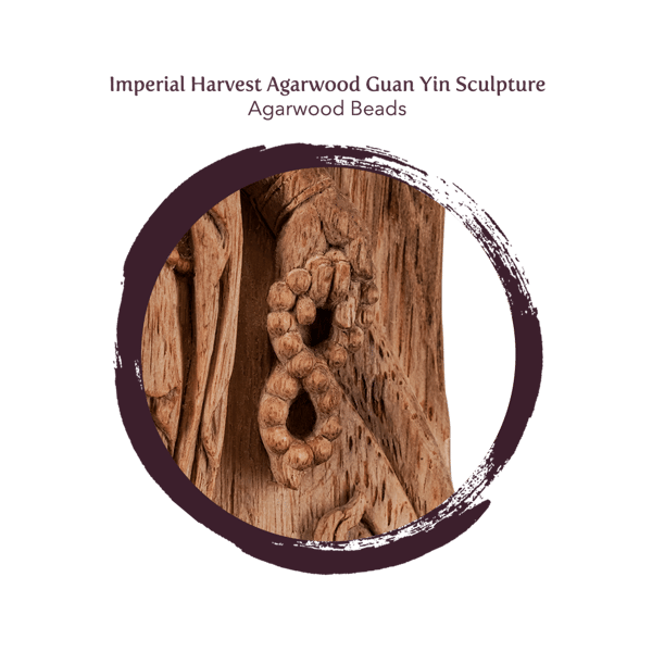 Blog_05.20_Agarwood Sculpture_3981_Agarwood Beads-1