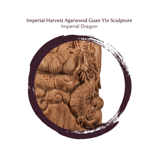 Blog_05.20_Agarwood Sculpture_3981_Imperial Dragon-1