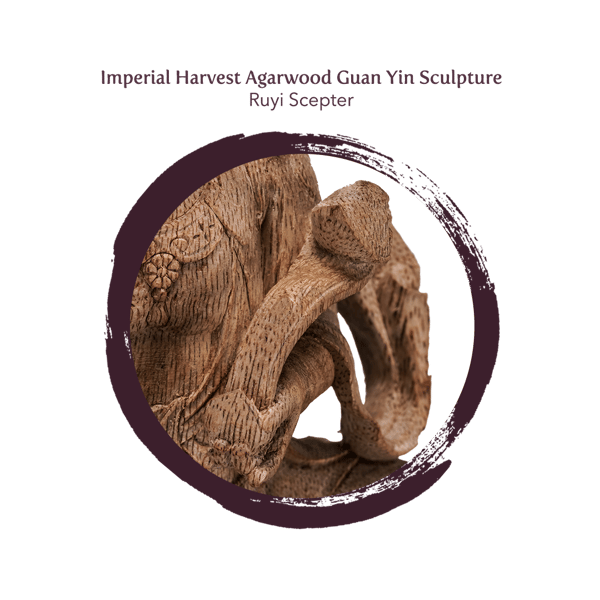 Blog_05.20_Agarwood Sculpture_3984_Ruyi Scepter-1