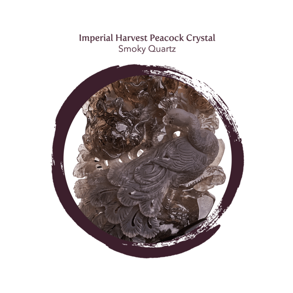 Imperial Harvest Peacock Crystal Smoky Quartz close up
