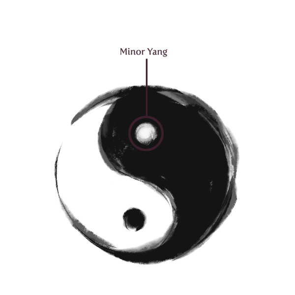Minor Yang within Major Yin