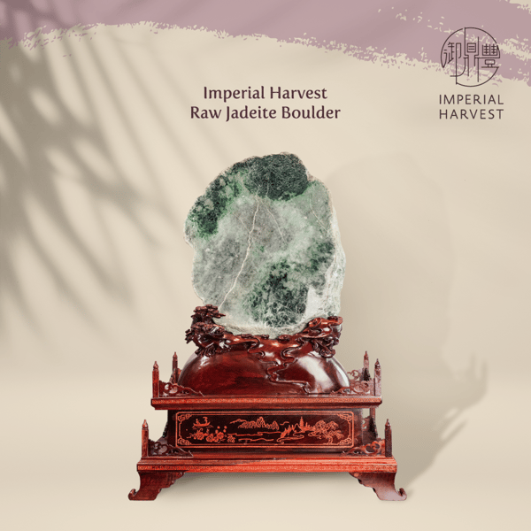 Imperial Harvest Raw Jadeite Boulder