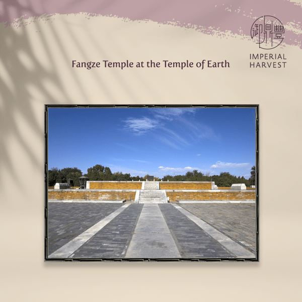 Fangze Temple at the Temple of Earth