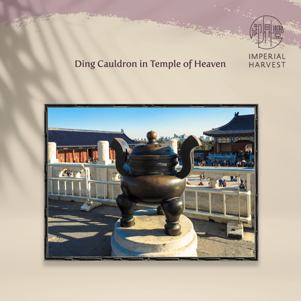 Blog_06.24_Origins of IH Mark of Excellence_Ding Cauldron in ToH