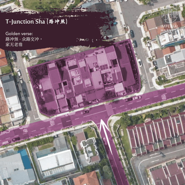 Blog_060921_Millionaire Home FS_Part 2_T-Junction-2