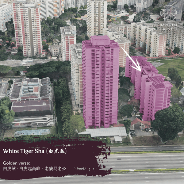 Blog_060921_Millionaire Home FS_Part 2_White Tiger-2