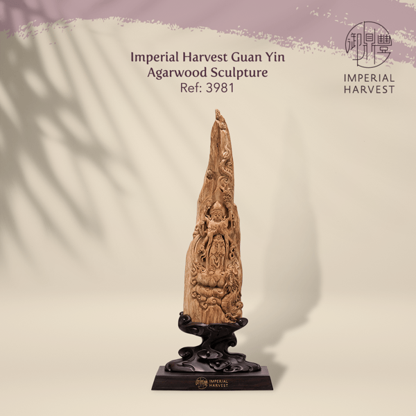 Imperial Harvest Guan Yin Agarwood Sculpture 3981