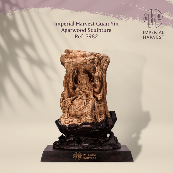 Imperial Harvest Guan Yin Agarwood Sculpture 3982