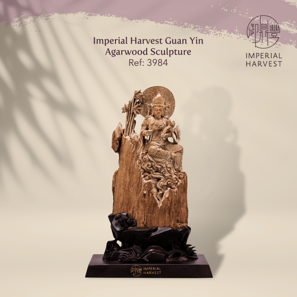 Imperial Harvest Guan Yin Agarwood Sculpture 3984
