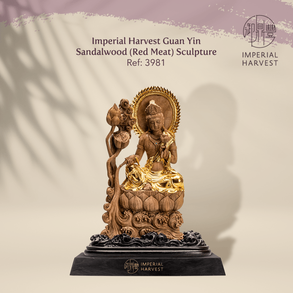 Imperial Harvest Guan Yin Sandalwood Red Meat Sculpture 3981
