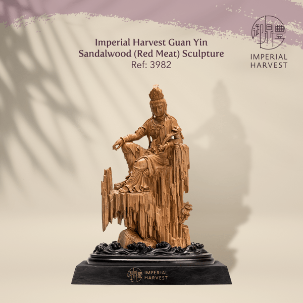 Imperial Harvest Guan Yin Sandalwood Red Meat Sculpture 3982