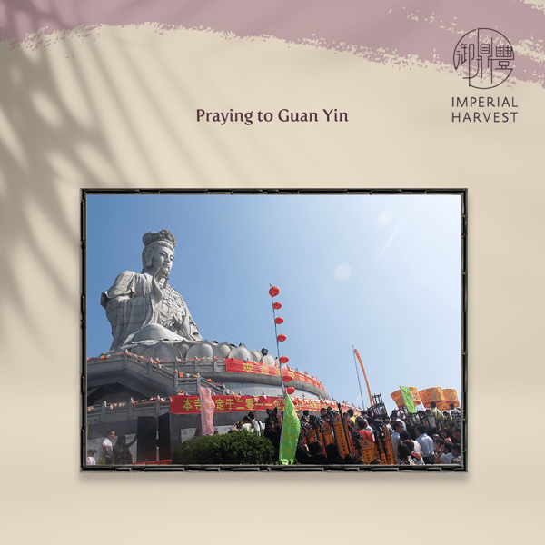 Praying to Guan Yin
