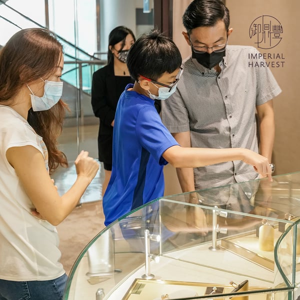 Blessed clients during exclusive showcase