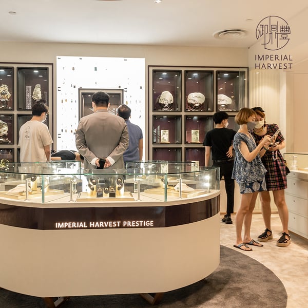 Blessed clients during exclusive showcase