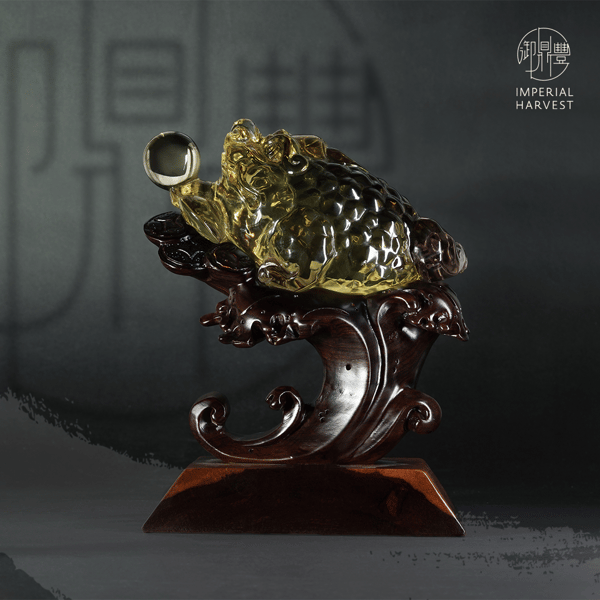 Blog_080721_Golden Toad_3556