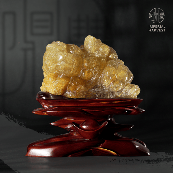 Blog_080721_Golden Toad_8353