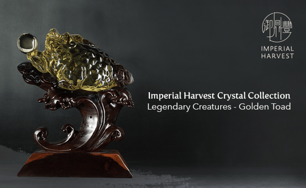 Blog_080721_Golden Toad_email banner