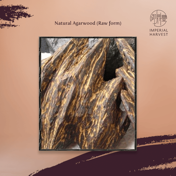 Blog_10.08_Achieving Breakthroughs during the Chong Yang Festival-2-1