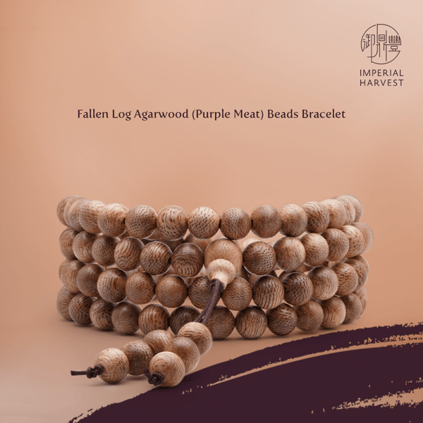 Blog_10.08_Achieving Breakthroughs during the Chong Yang Festival-Fallen Log-1