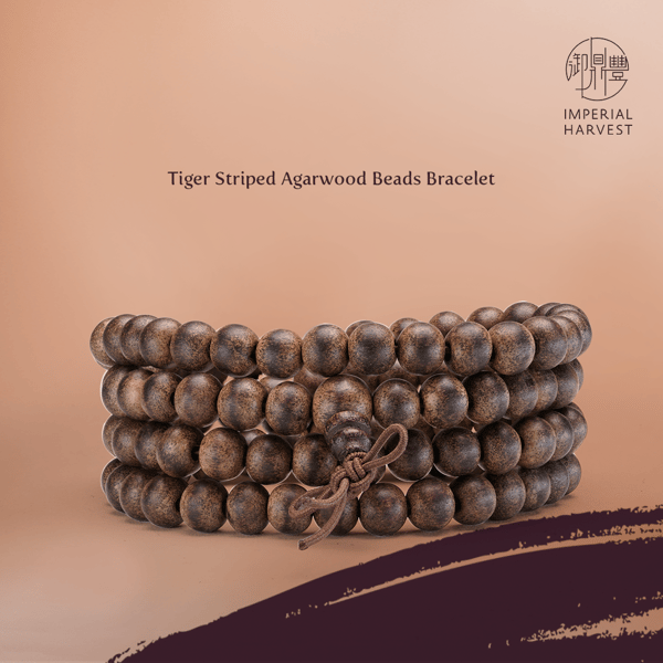 Blog_10.08_Achieving Breakthroughs during the Chong Yang Festival-Tiger Striped-1