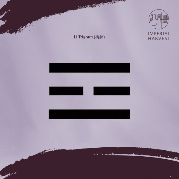 Blog_100221_Period 9_Li Trigram