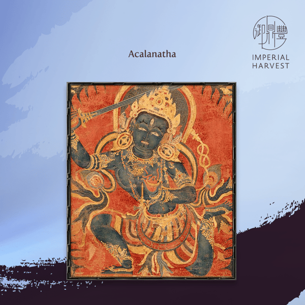 Blog_11.26_Eight ZG-Acalanatha(Rooster)