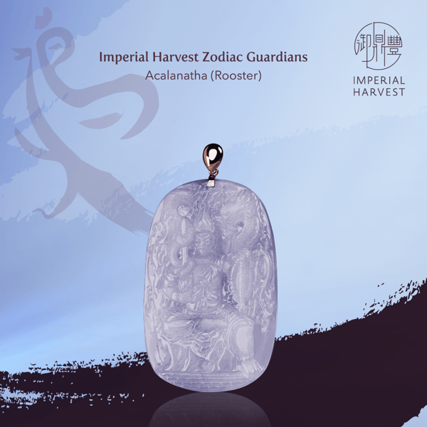 Blog_11.26_Eight ZG-Acalanatha(Rooster)_Fire Plain