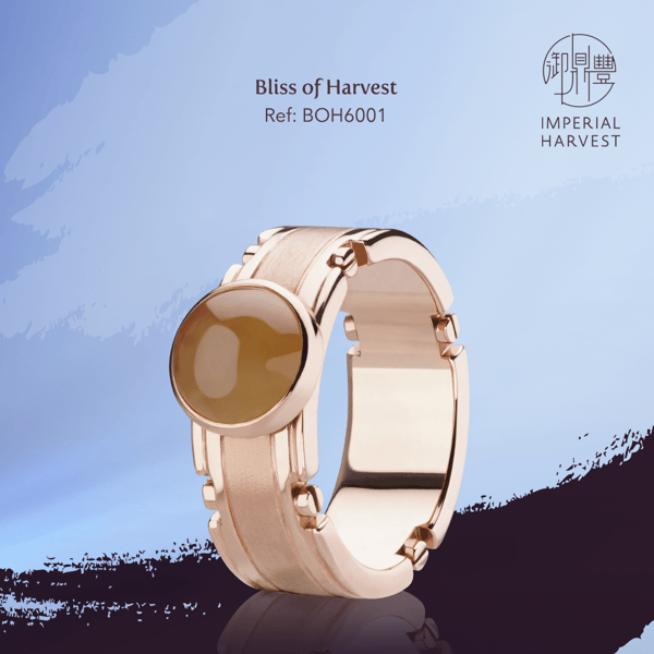 Blog_12.03_Winter Solstice_Earth