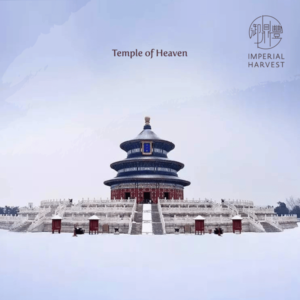 Blog_12.03_Winter Solstice_Temple of Heaven (winter)