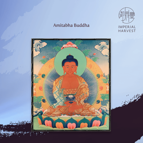 Blog_12.04_Eight ZG-Amitabha Buddha(DogBoar)