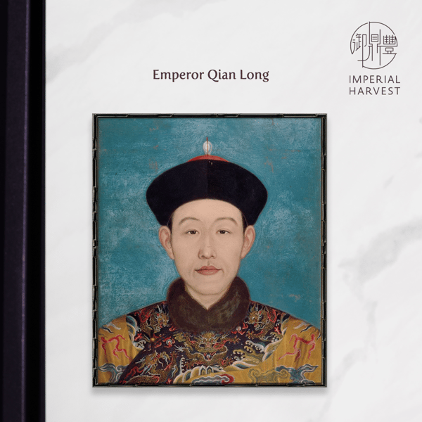 Blog_12.17_The Complete Guide to IH Jadeite