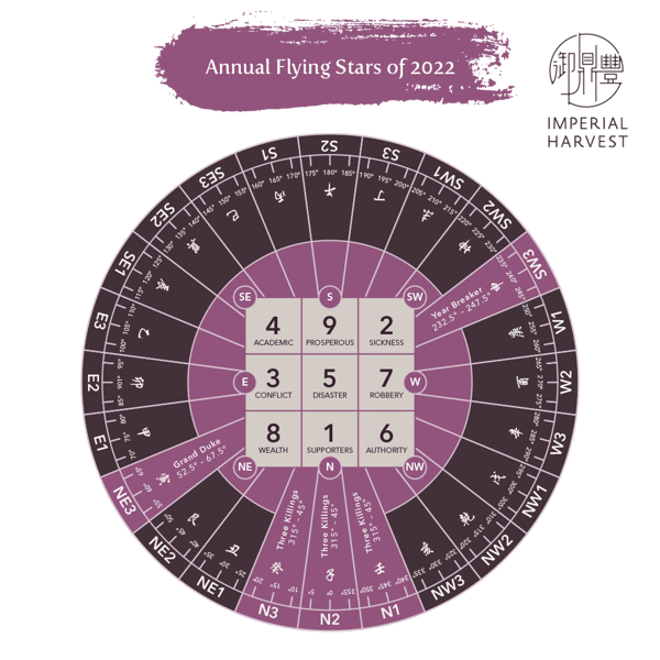 Blog_12.24_Annual Flying Stars of 2022