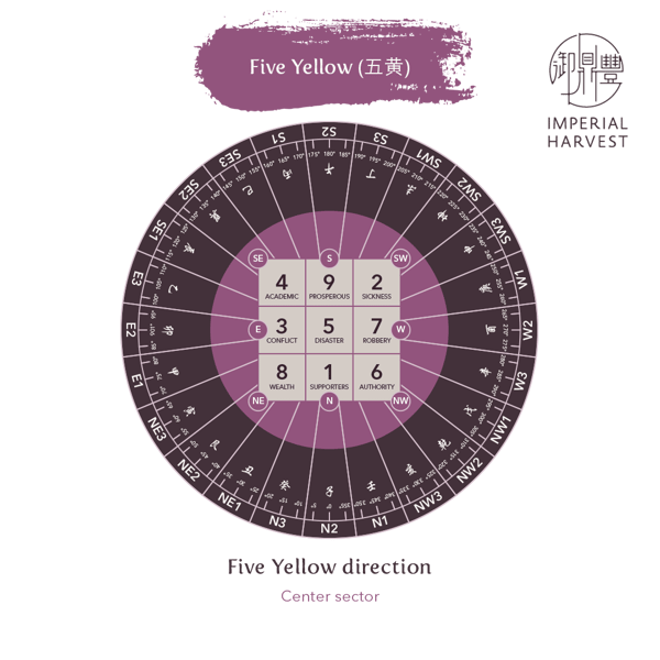 Blog_12.24_Annual Flying Stars of 2022_Five Yellow
