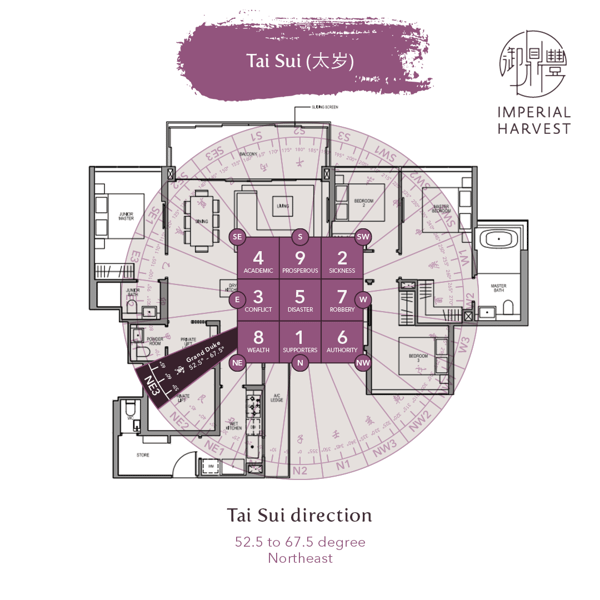 Blog_12.24_Annual Flying Stars of 2022_Tai Sui Floor Plan