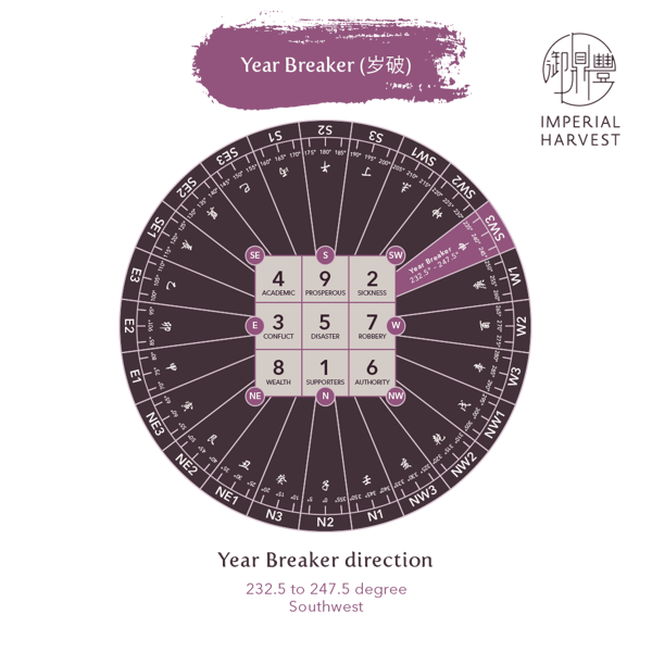 Blog_12.24_Annual Flying Stars of 2022_Year Breaker
