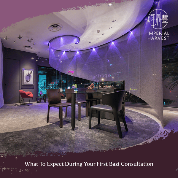 What to expect during your first Bazi consultation