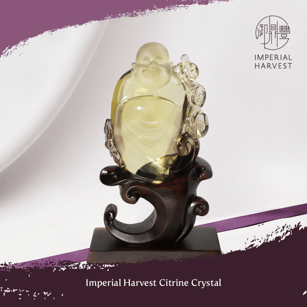 Imperial Harvest Citrine Crystals