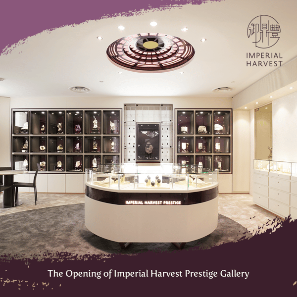 The Opening of Imperial Harvest Prestige Gallery