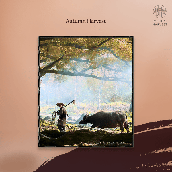 2021 Autumn Exclusive Qian Long Jadeite Mountain_Autumn Harvest