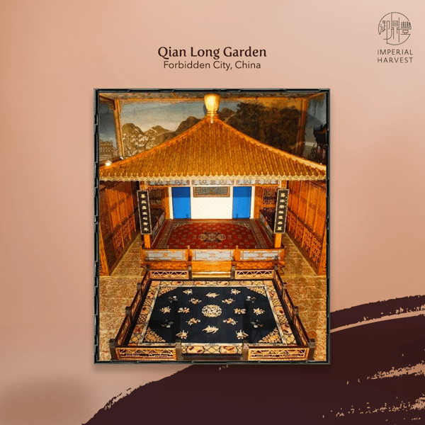 2021 Autumn Exclusive Qian Long Jadeite Mountain_Qian Long Garden