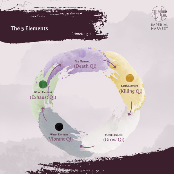 Blog_170921_Secrets of Millionaire FS_Part 4_5 Elements