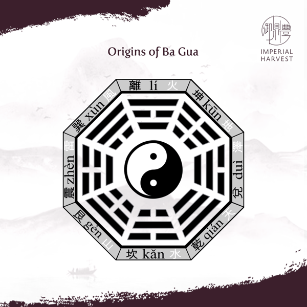 Origins of Ba Gua