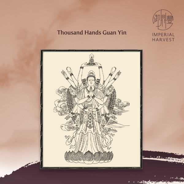 Blog_2021_Oct_IH collections during GY’s birthday-3-1